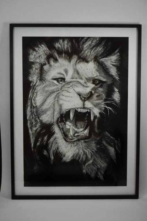 Graphite lion head drawing